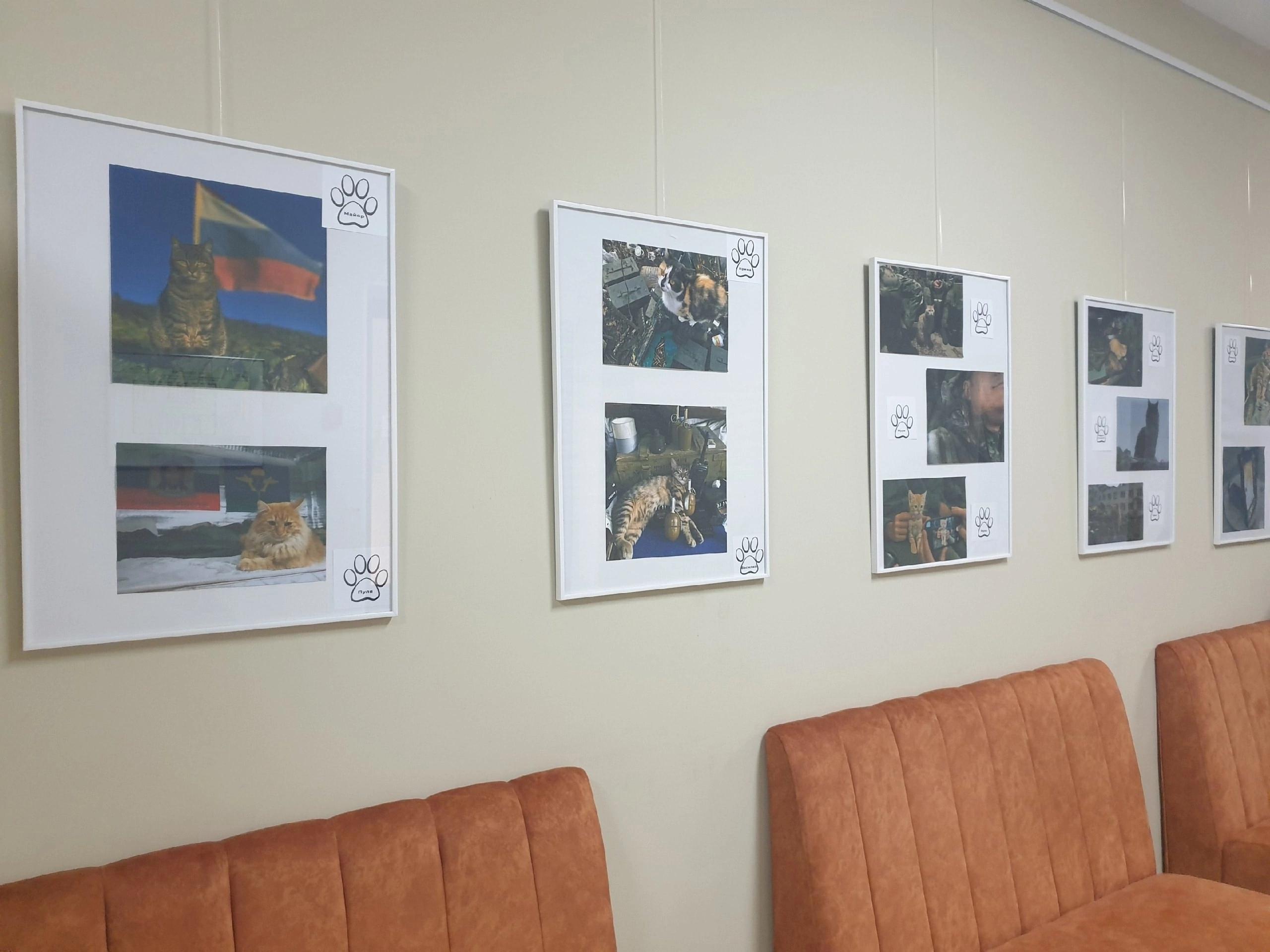 image_0 image_0