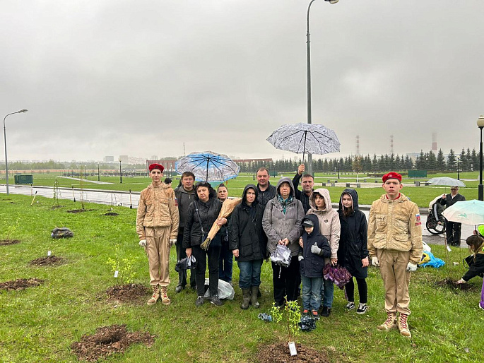 В Мытищах посадили именные деревья в честь героев СВО
