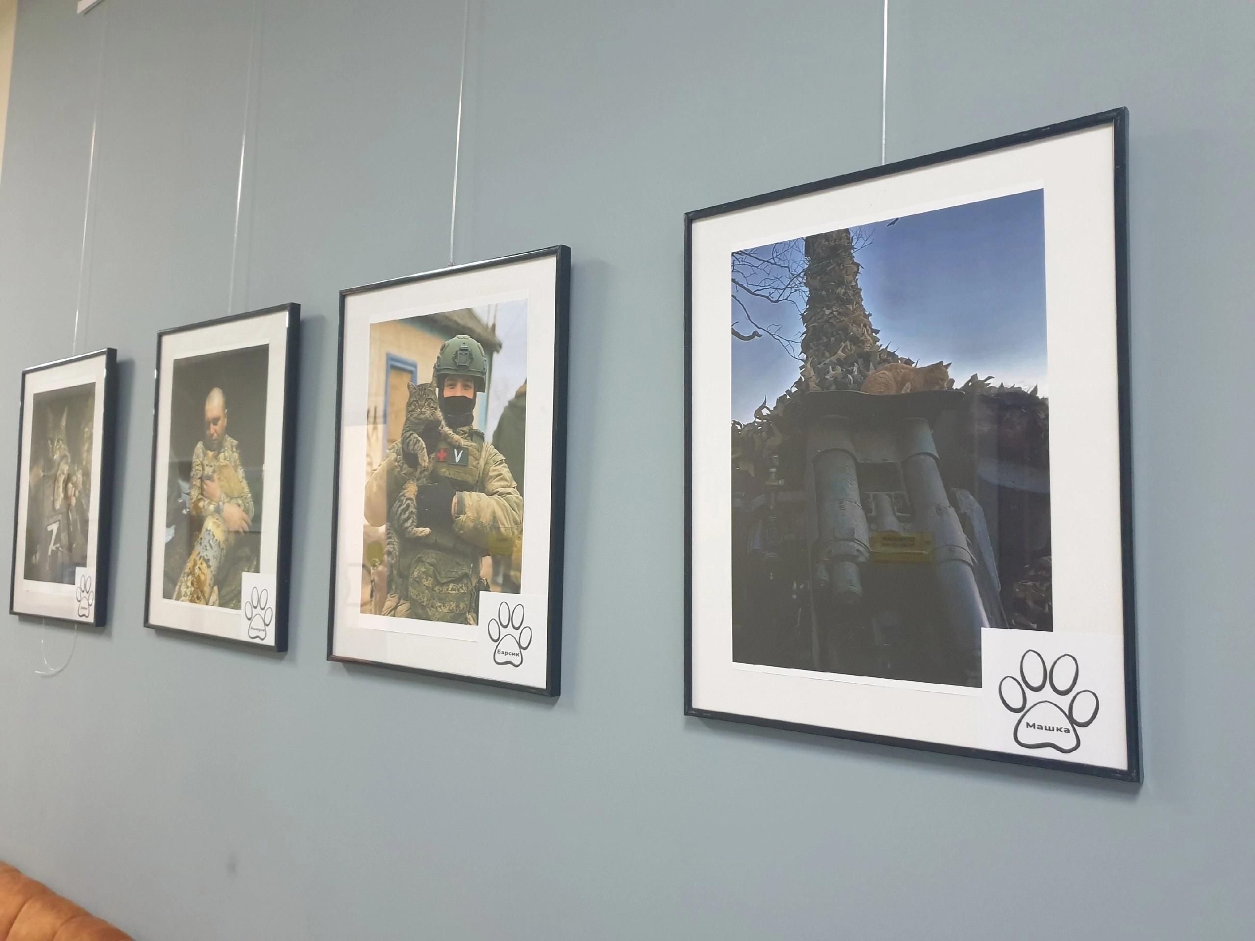 image_0 image_0