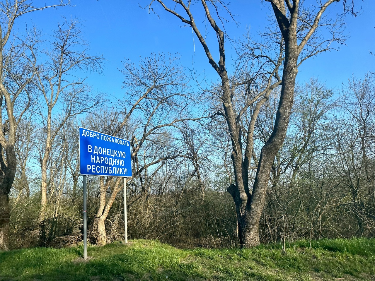 image_0 image_0