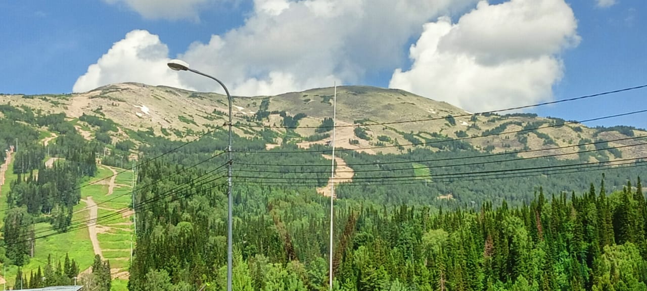 image_0 image_0