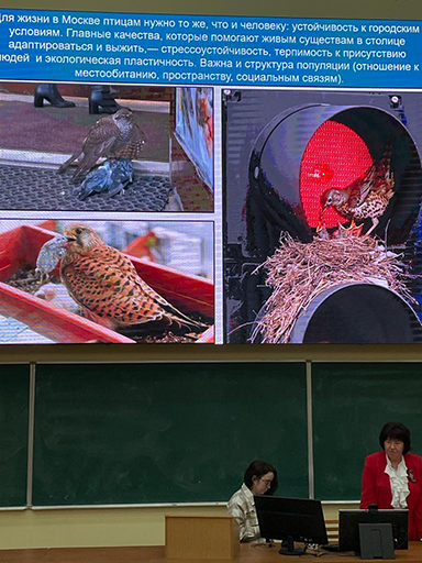 image_0 image_0