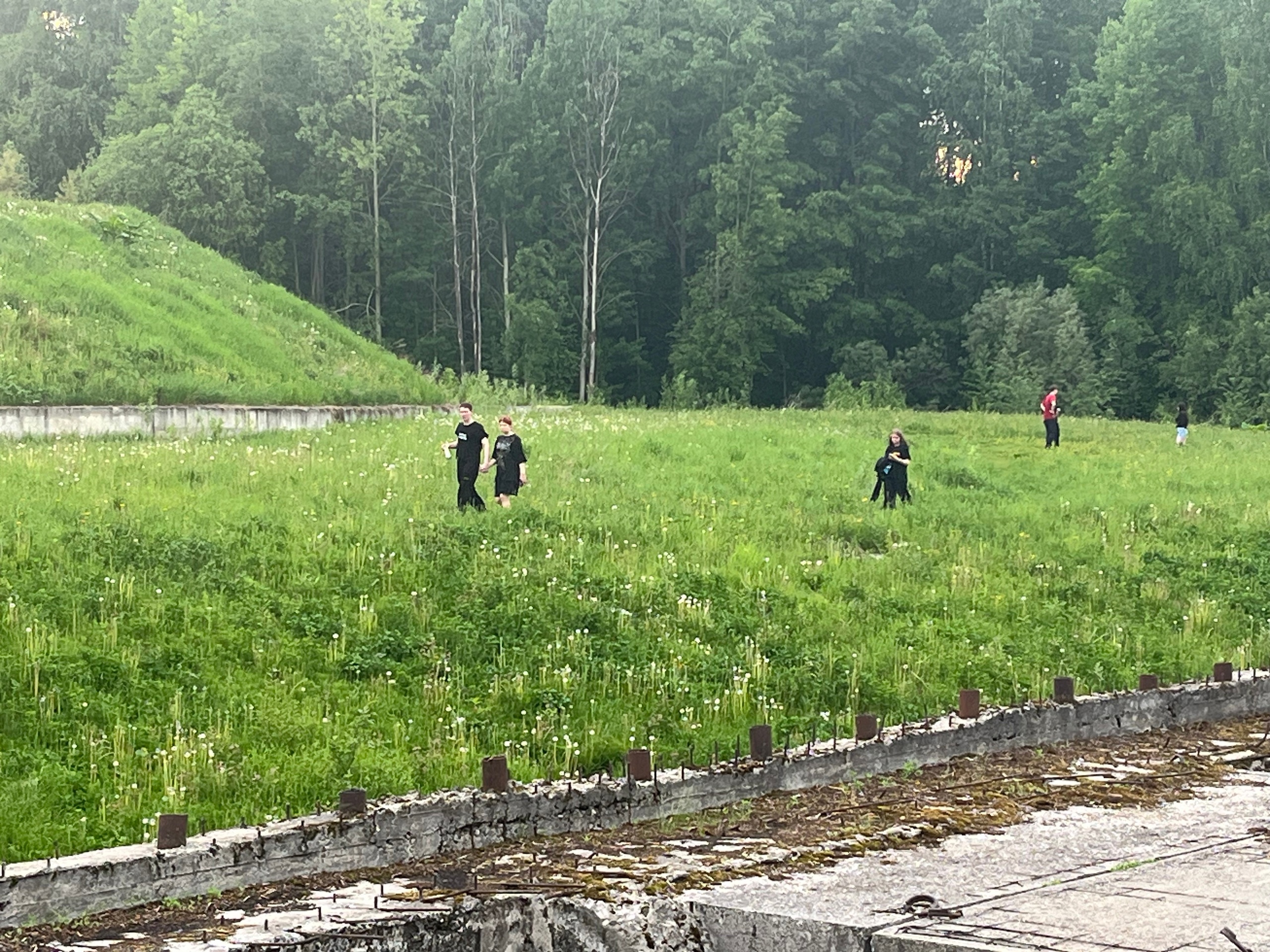 image_0 image_0