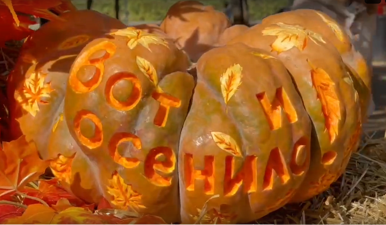 Вот и осенило!