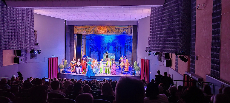 В Воронежском ТЮЗе состоялись благотворительные спектакли для семей военнослужащих