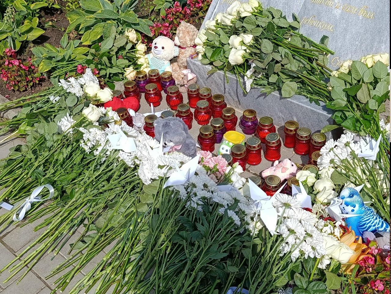 image_0