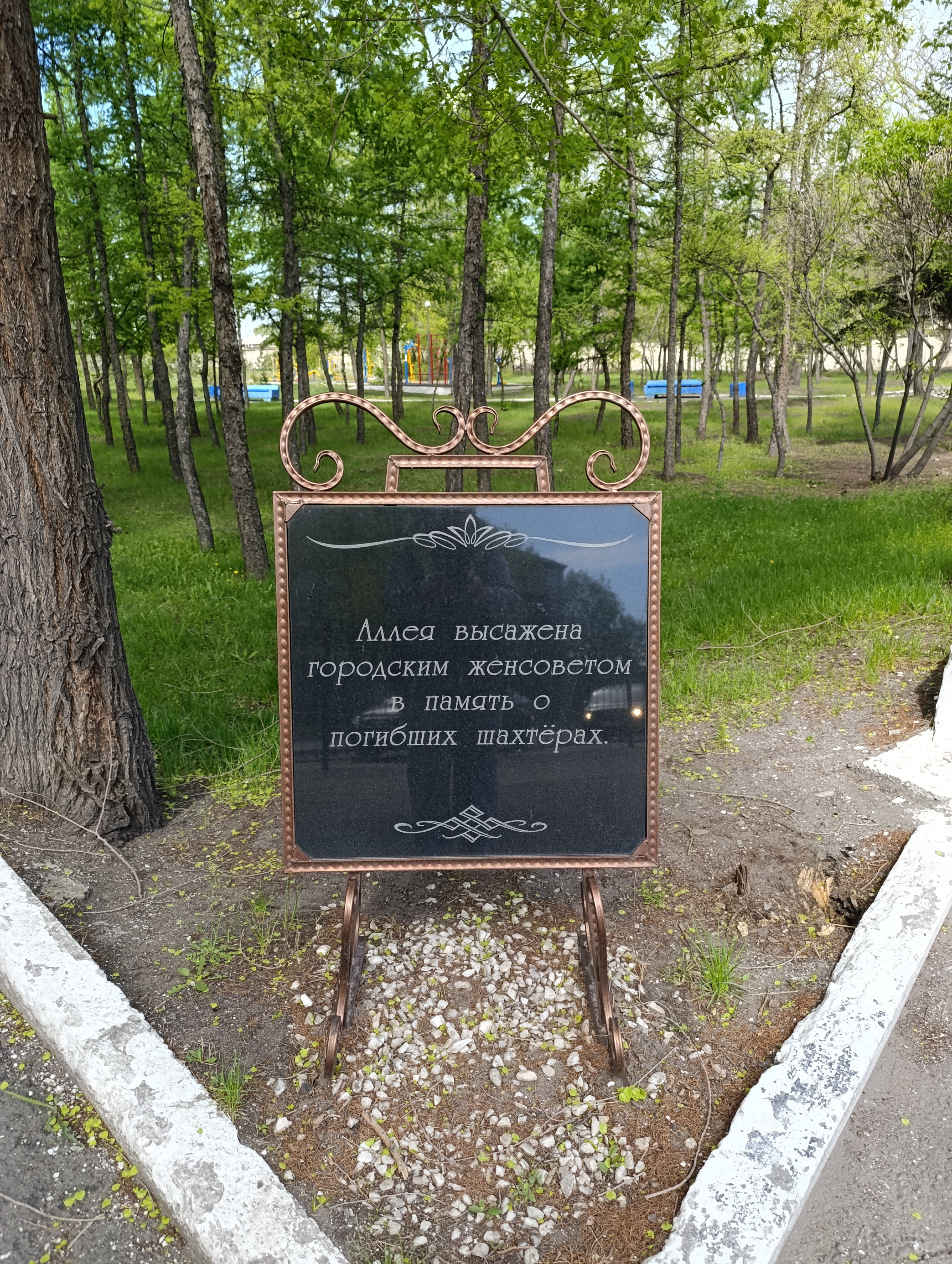 image_0 image_0