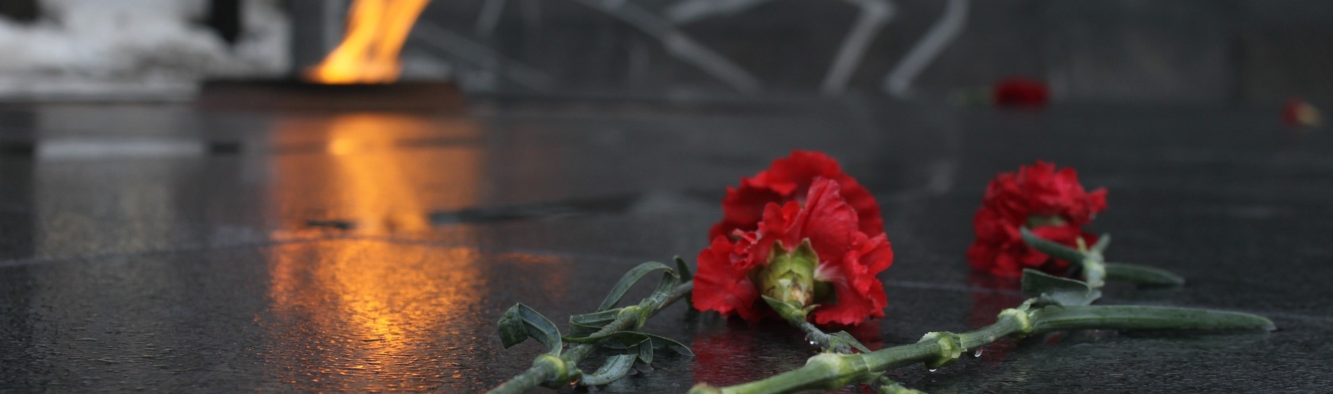 Волна памяти