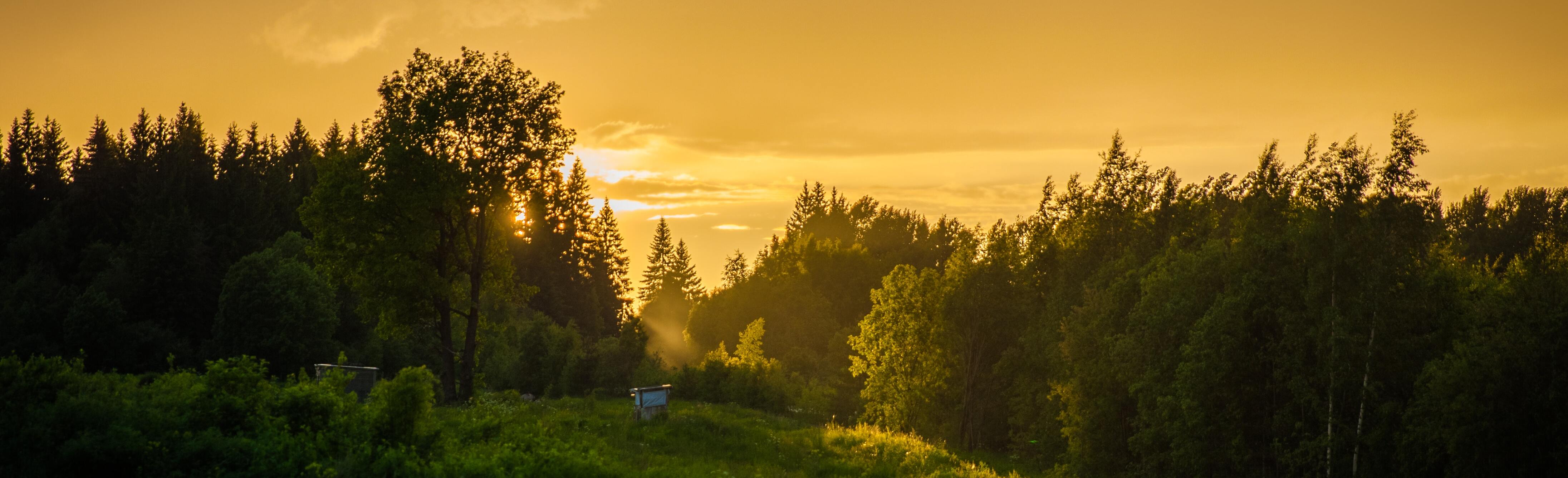 Символы малой родины