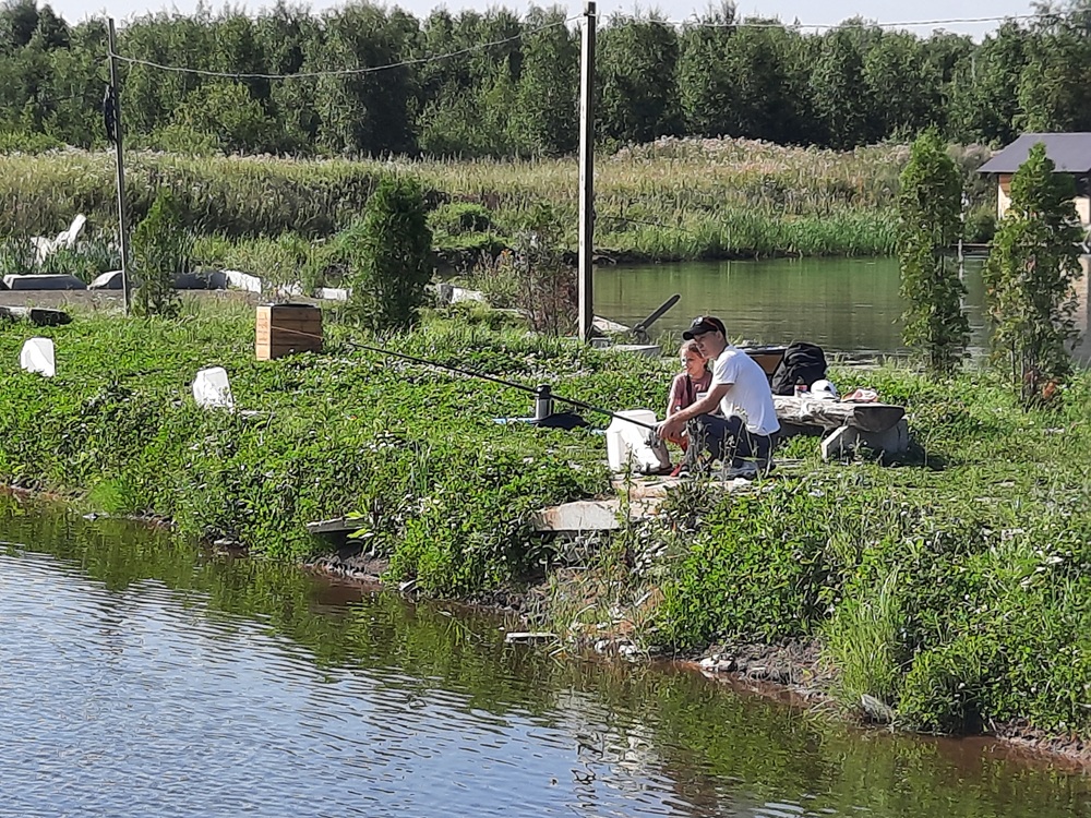 image_0