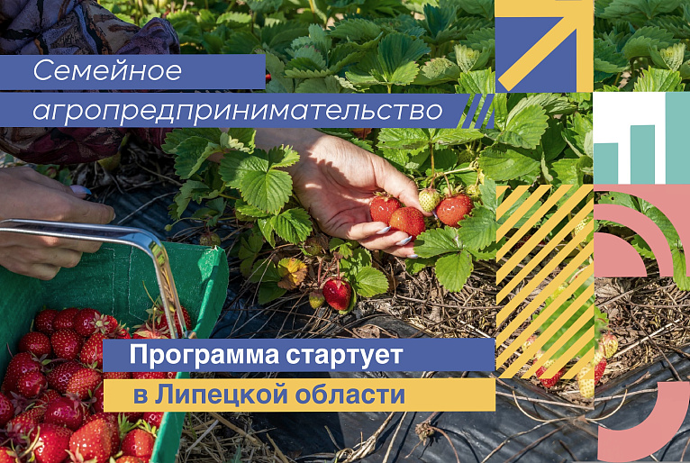 Программа "Семейное агропредпринимательство" стартует в Липецкой области